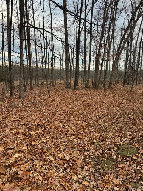 Tiny photo for 138 Carriage Lane, Concord, VA 24538 (MLS # 363742)