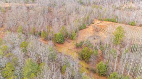 Tiny photo for 0 Waughs Ferry Xing, Monroe, VA 24574 (MLS # 361795)