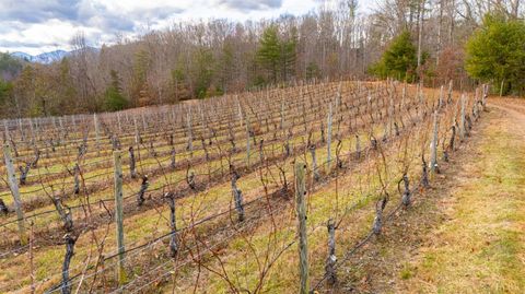 Tiny photo for 0 Waughs Ferry Xing, Monroe, VA 24574 (MLS # 361795)