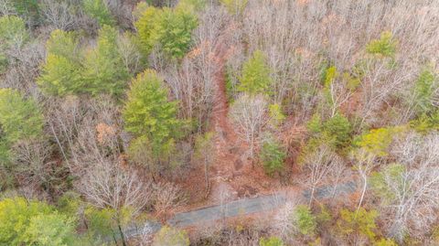 Tiny photo for 0 Waughs Ferry Xing, Monroe, VA 24574 (MLS # 361795)