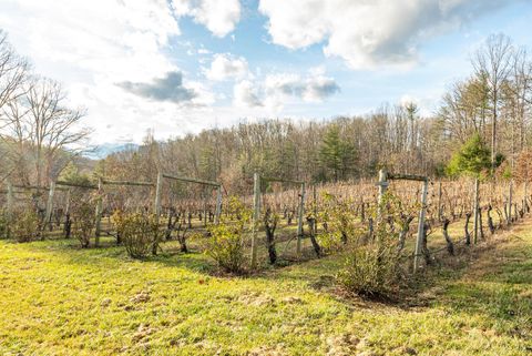 Tiny photo for 0 Waughs Ferry Xing, Monroe, VA 24574 (MLS # 361795)