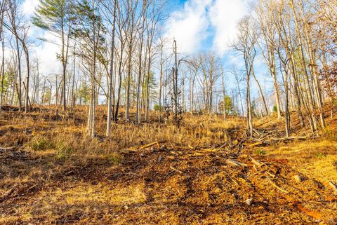 Tiny photo for 0 Waughs Ferry Xing, Monroe, VA 24574 (MLS # 361795)