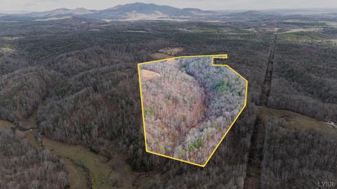 Tiny photo for 0 Waughs Ferry Xing, Monroe, VA 24574 (MLS # 361795)