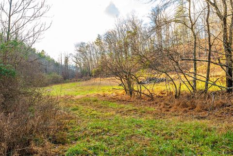 Tiny photo for 0 Waughs Ferry Xing, Monroe, VA 24574 (MLS # 361795)