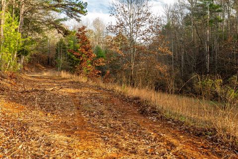 Tiny photo for 0 Waughs Ferry Xing, Monroe, VA 24574 (MLS # 361795)