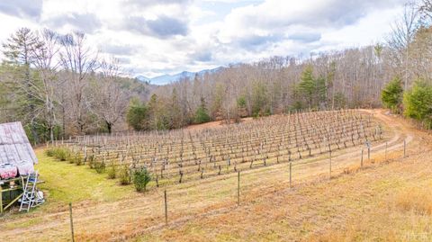 Tiny photo for 0 Waughs Ferry Xing, Monroe, VA 24574 (MLS # 361795)