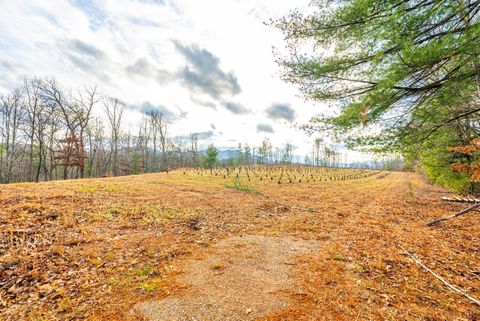 Tiny photo for 0 Waughs Ferry Xing, Monroe, VA 24574 (MLS # 361795)