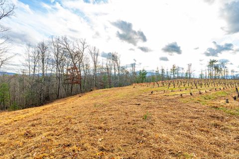 Tiny photo for 0 Waughs Ferry Xing, Monroe, VA 24574 (MLS # 361795)