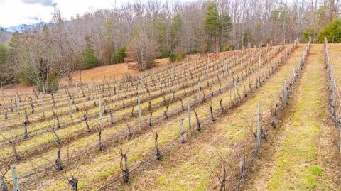 Tiny photo for 0 Waughs Ferry Xing, Monroe, VA 24574 (MLS # 361795)