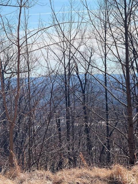 Summit Drive, Rocky Mount, Virginia image 2
