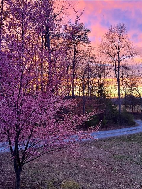 Tiny photo for 290 Green Acres Drive, Evington, VA 24550 (MLS # 362296)