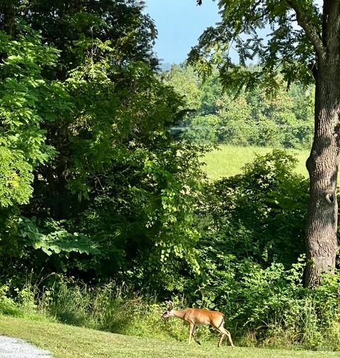 Tiny photo for 290 Green Acres Drive, Evington, VA 24550 (MLS # 362296)