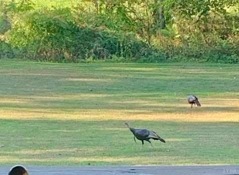 Tiny photo for 290 Green Acres Drive, Evington, VA 24550 (MLS # 362296)