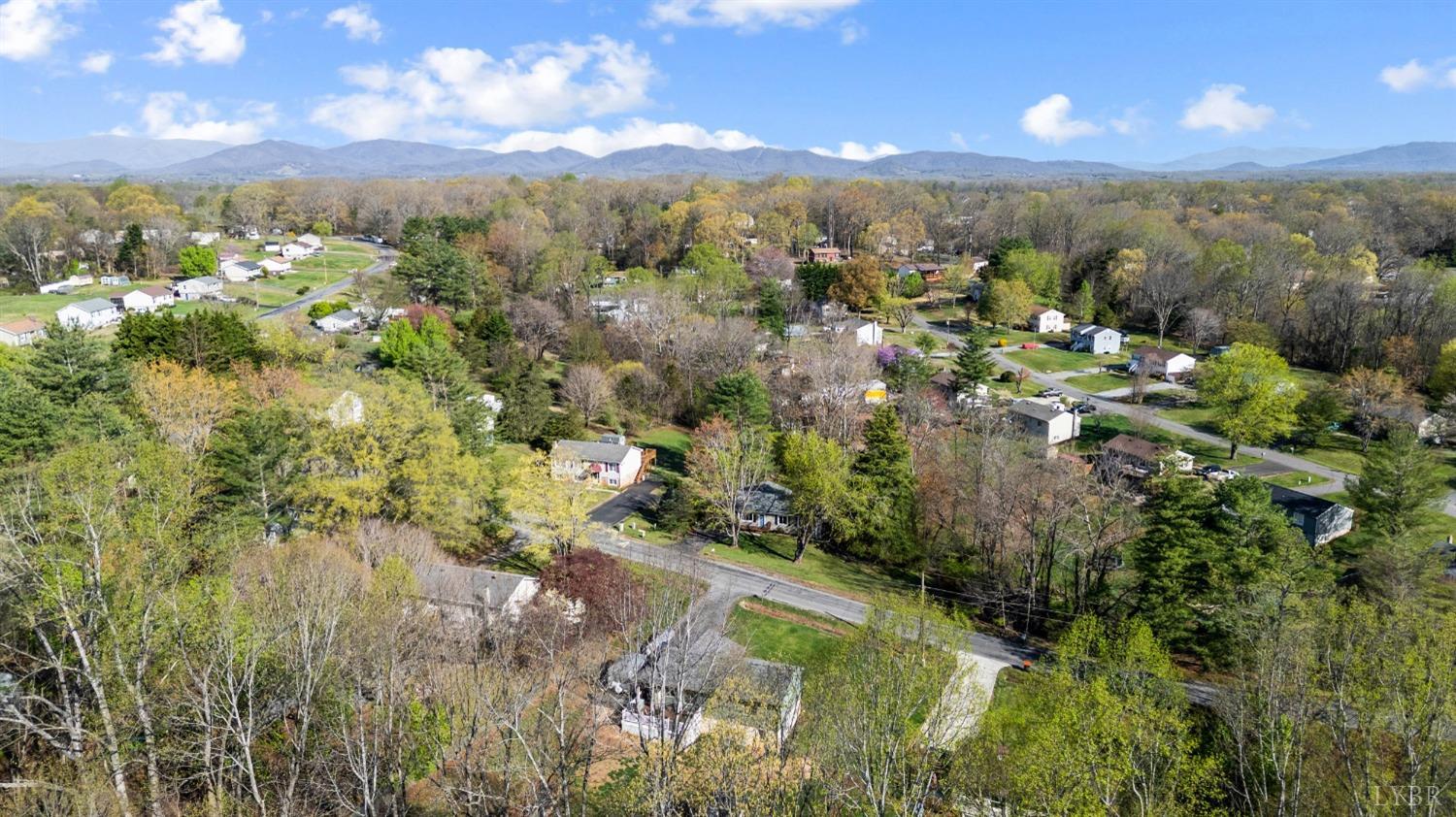 503 Sweeney Circle, Forest, Virginia image 48
