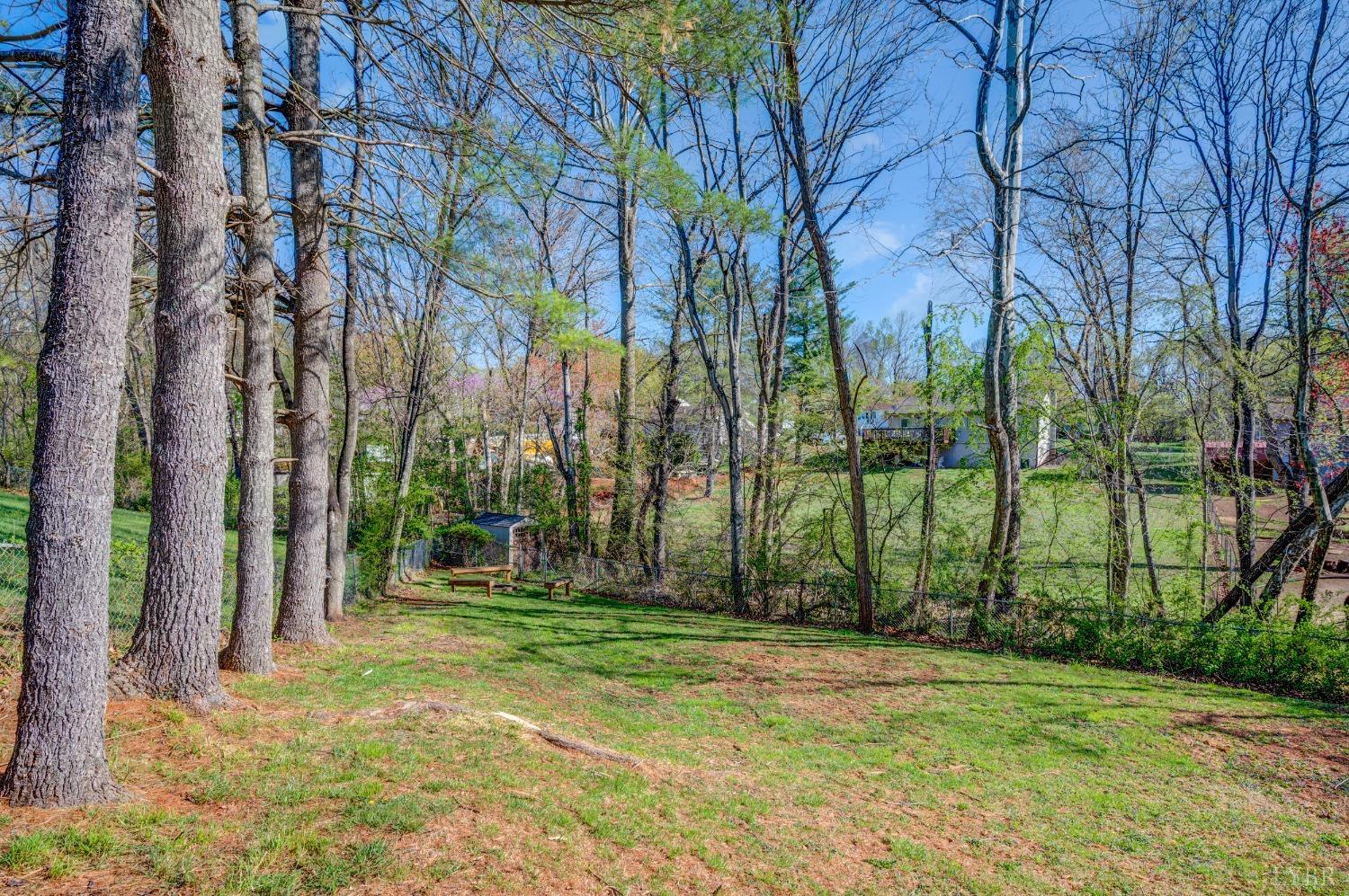 503 Sweeney Circle, Forest, Virginia image 40