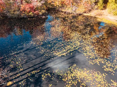 Tiny photo for 7941 Sugar Hill Road, Brookneal, VA 24528 (MLS # 362863)