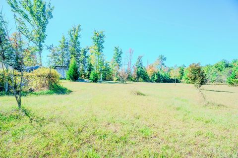 Tiny photo for 12232 Farmville Road Rd, Meherrin, VA 23954 (MLS # 362517)