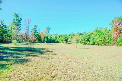 Tiny photo for 12232 Farmville Road Rd, Meherrin, VA 23954 (MLS # 362517)
