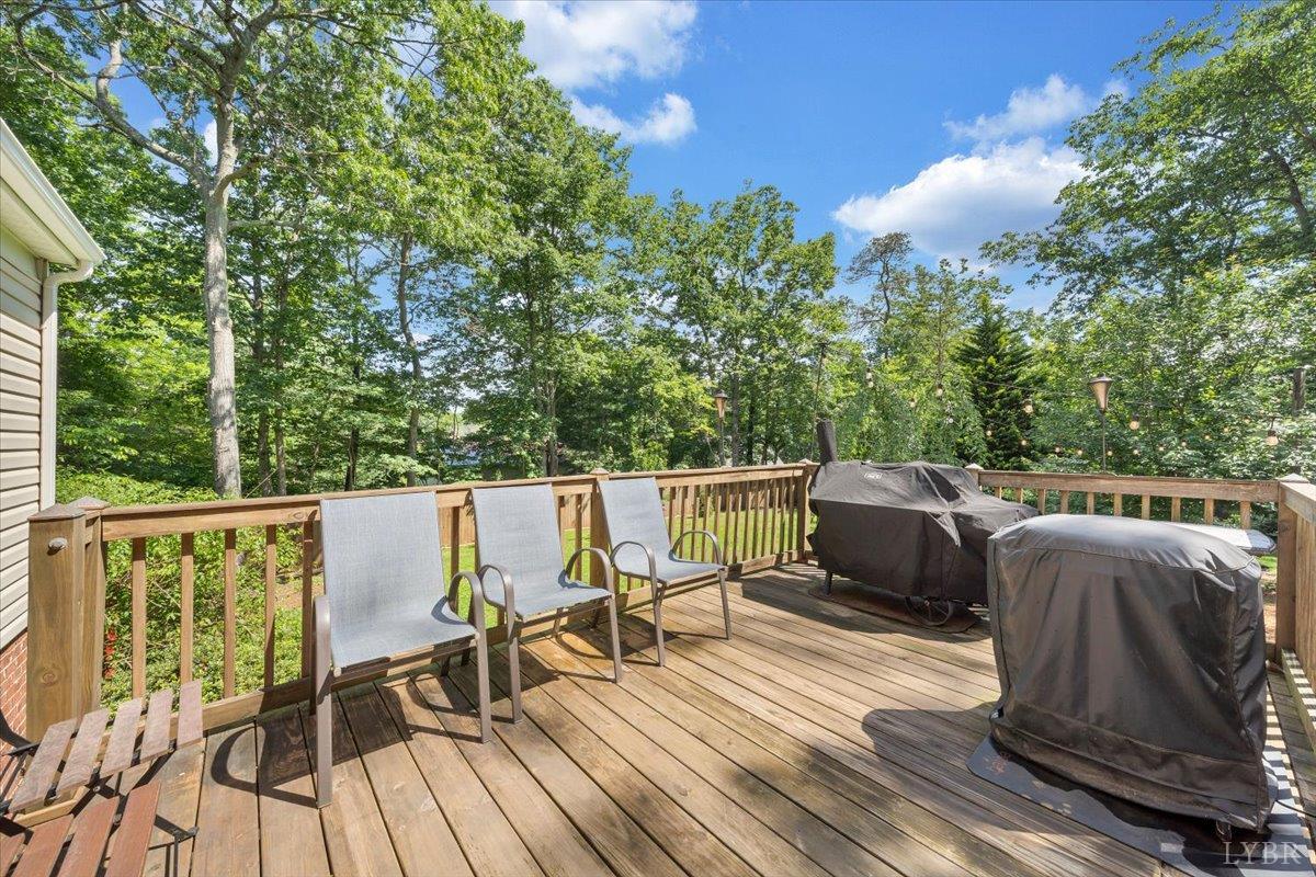 131 Jane Terrace, Madison Heights, Virginia image 34
