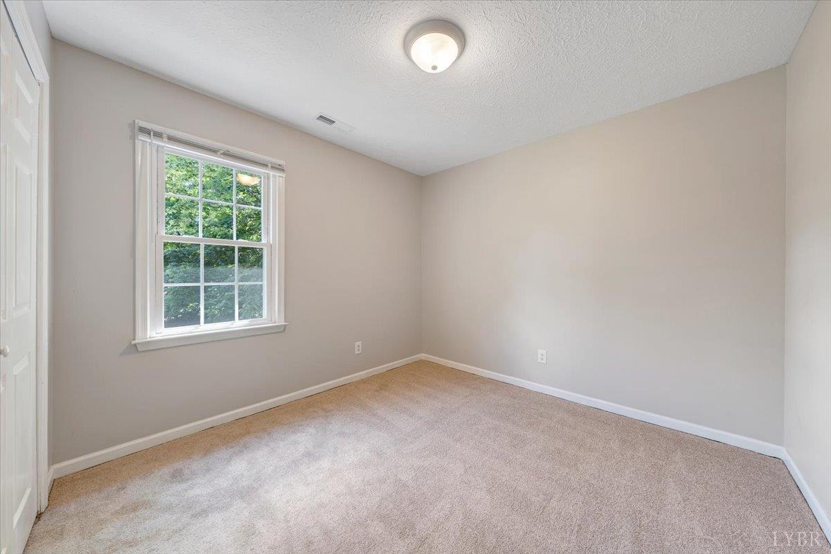 131 Jane Terrace, Madison Heights, Virginia image 29