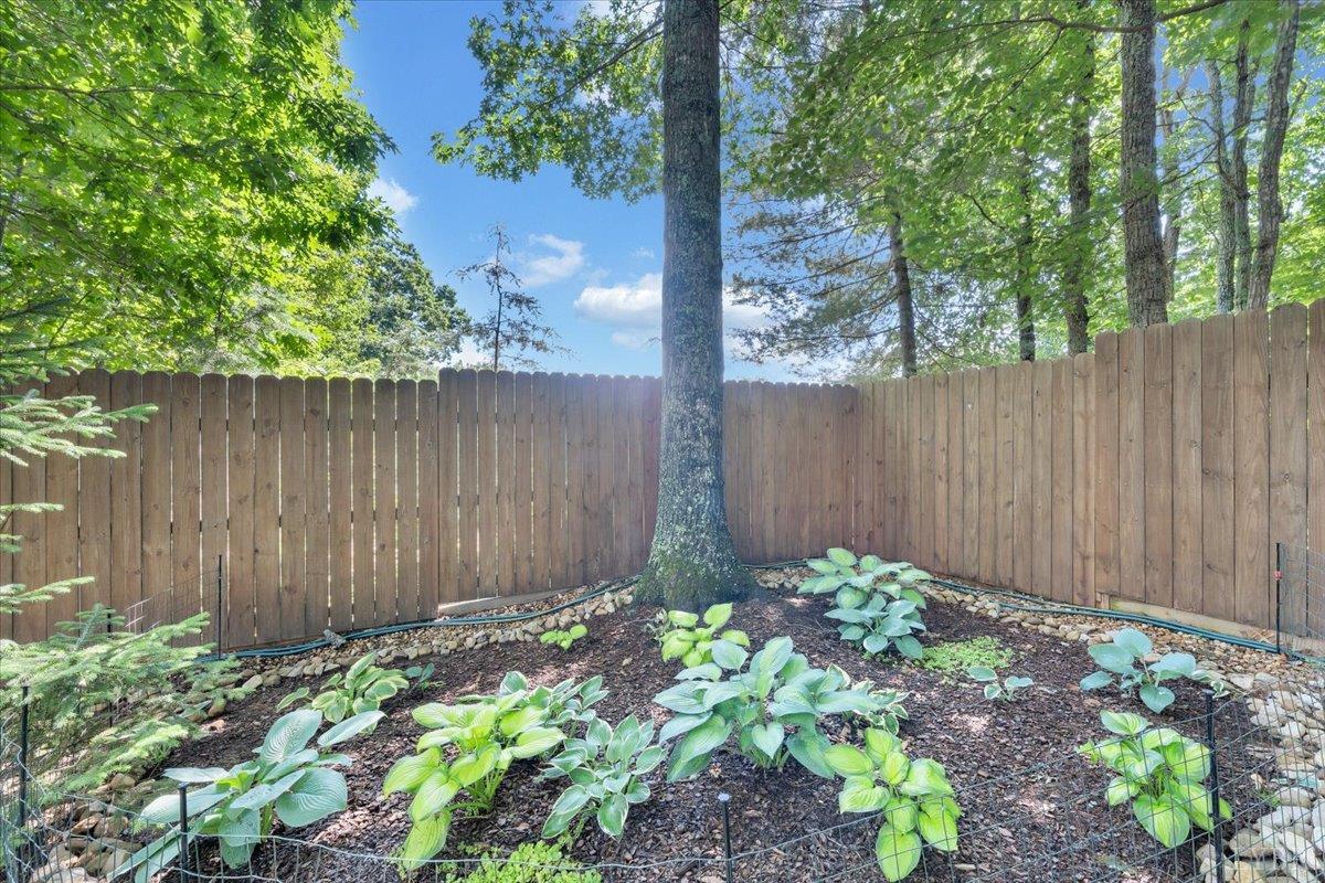 131 Jane Terrace, Madison Heights, Virginia image 48