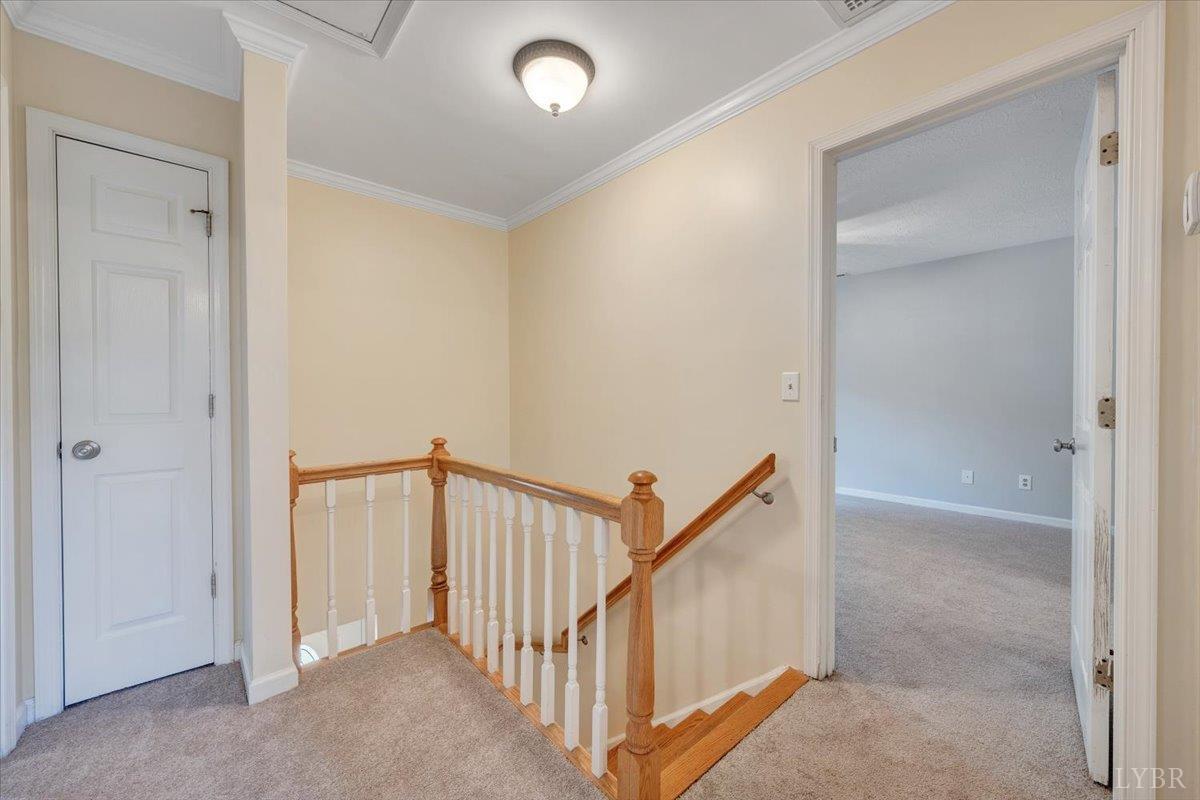 131 Jane Terrace, Madison Heights, Virginia image 22