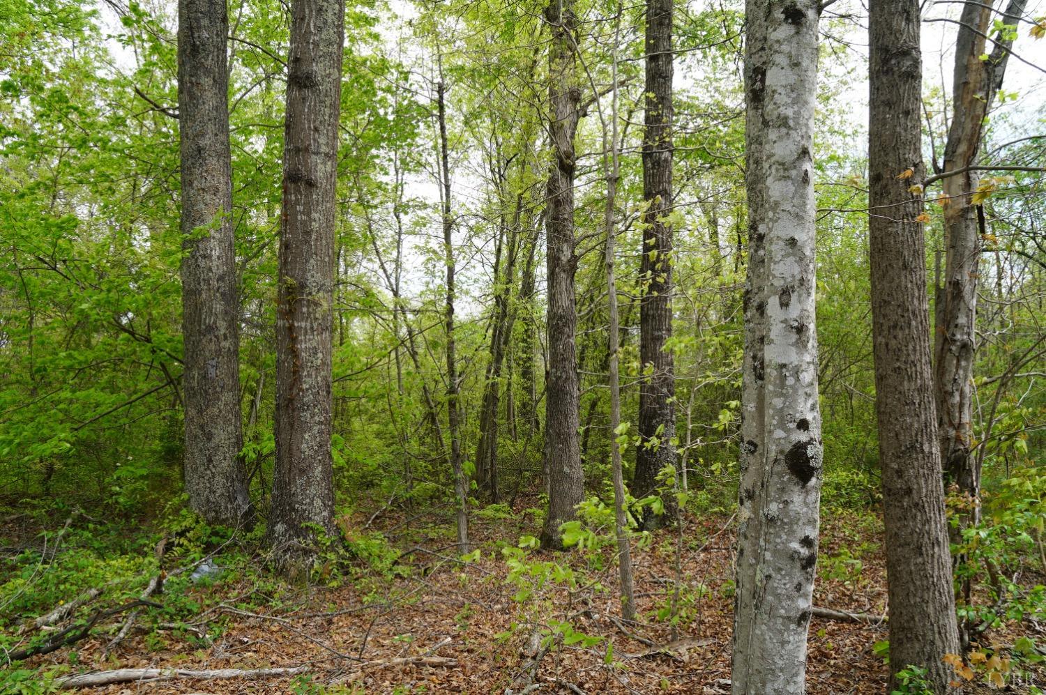 Walker Road, Brookneal, Virginia image 2