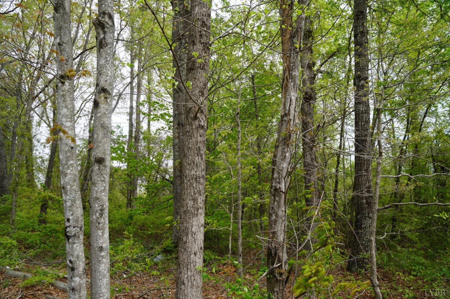Walker Road, Brookneal, Virginia image 1
