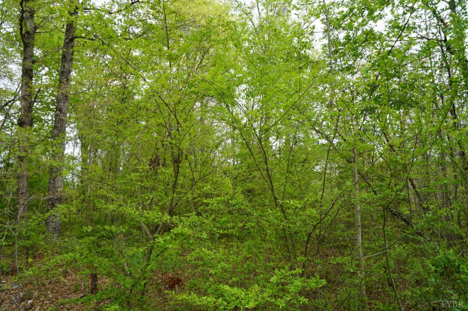 Walker Road, Brookneal, Virginia image 3