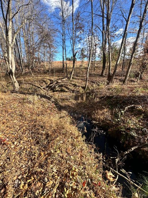 Tiny photo for 0 Lot 2B Police Tower Rd, Appomattox, VA 24522 (MLS # 363222)
