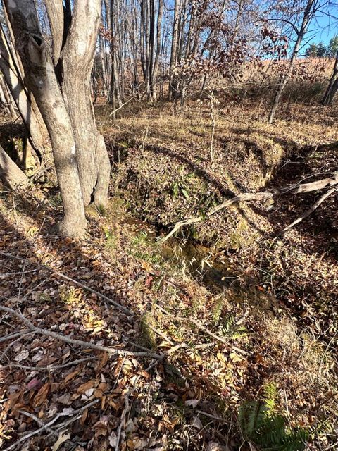 Tiny photo for 0 Lot 2B Police Tower Rd, Appomattox, VA 24522 (MLS # 363222)