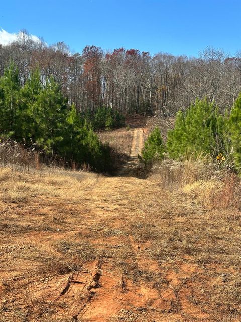 Tiny photo for 0 Lot 2B Police Tower Rd, Appomattox, VA 24522 (MLS # 363222)
