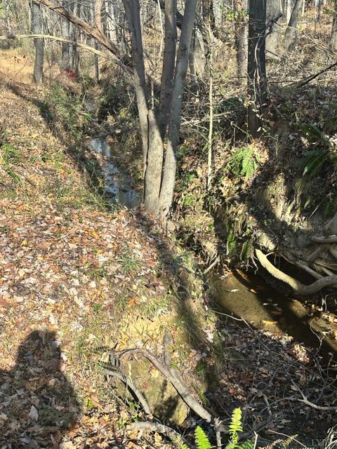 Tiny photo for 0 Lot 2B Police Tower Rd, Appomattox, VA 24522 (MLS # 363222)
