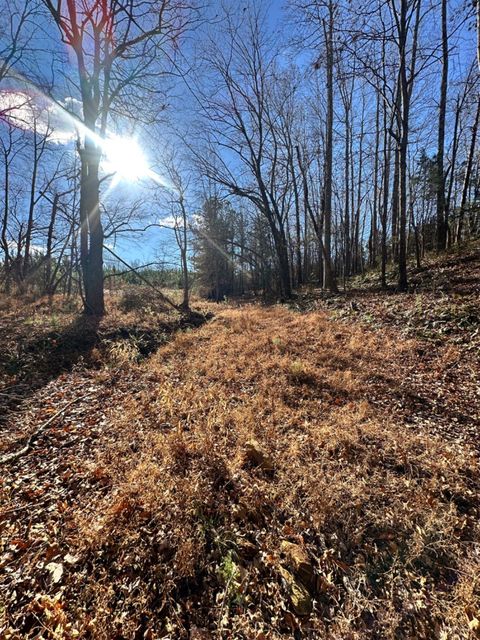 Tiny photo for 0 Lot 2B Police Tower Rd, Appomattox, VA 24522 (MLS # 363222)