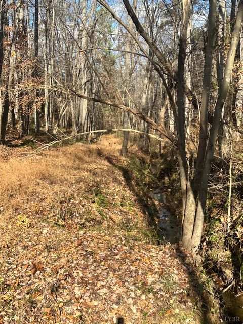 Tiny photo for 0 Lot 2B Police Tower Rd, Appomattox, VA 24522 (MLS # 363222)
