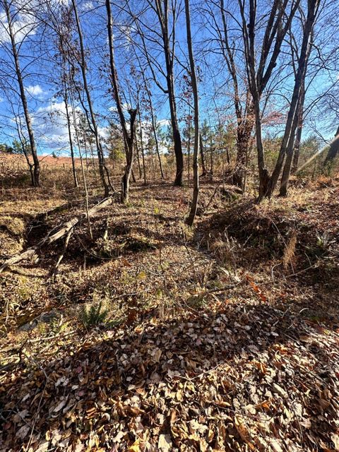 Tiny photo for 0 Lot 2B Police Tower Rd, Appomattox, VA 24522 (MLS # 363222)