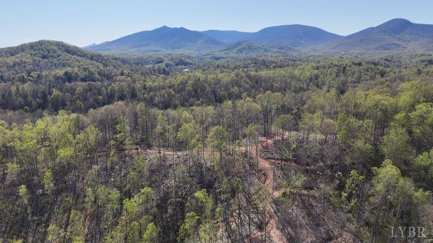 11798 Lee Jackson Highway, Big Island, Virginia image 1