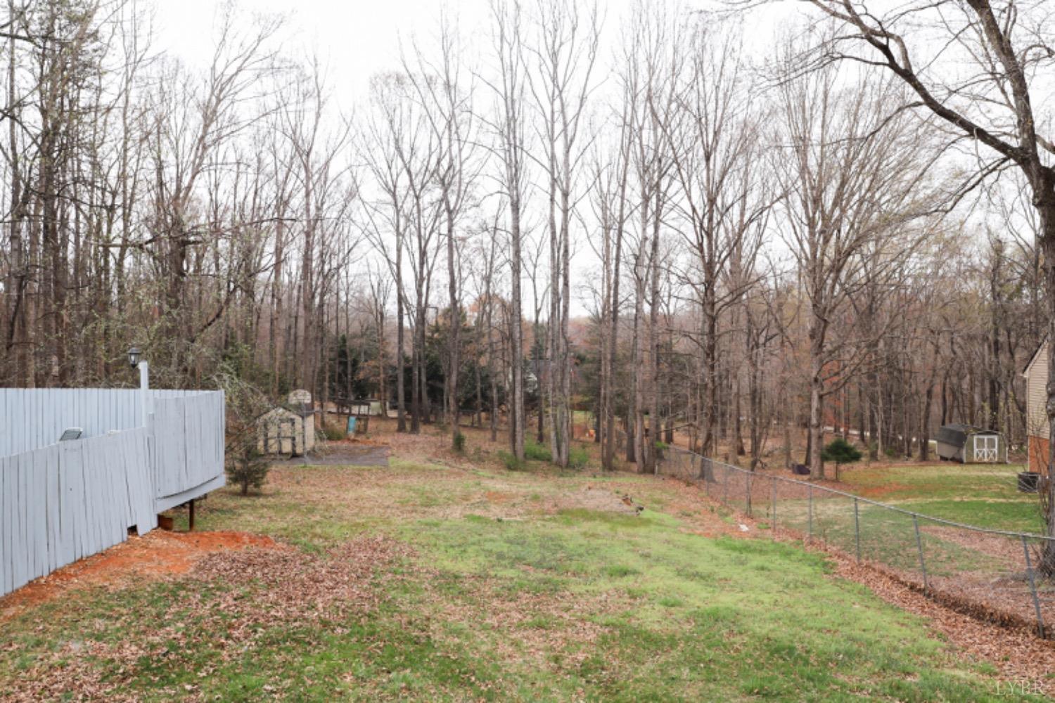 2824 Hawkins Mill Road, Lynchburg, Virginia image 21