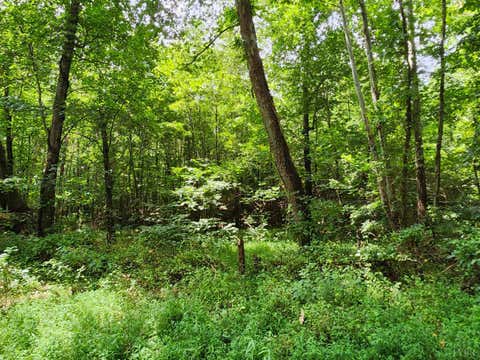 Vacant Land For Sale - Chestnut Road<br/> Nathalie, VA 24577