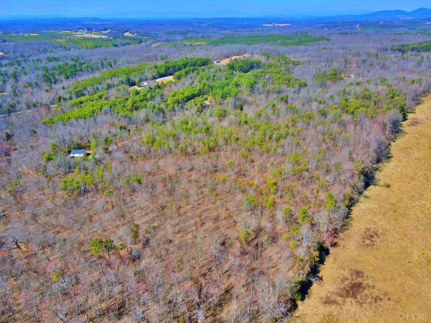 2 Watt Abbitt Road, Appomattox, Virginia image 1