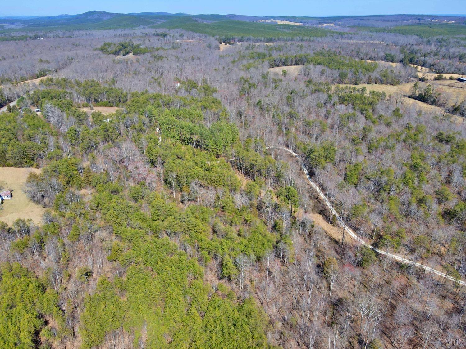 2 Watt Abbitt Road, Appomattox, Virginia image 10