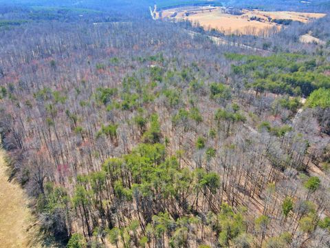 Tiny photo for 2 Watt Abbitt Road, Appomattox, VA 24522 (MLS # 358720)