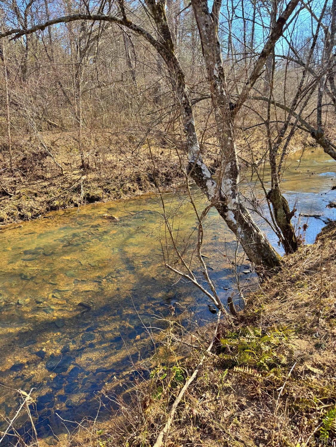 2 Watt Abbitt Road, Appomattox, Virginia image 5