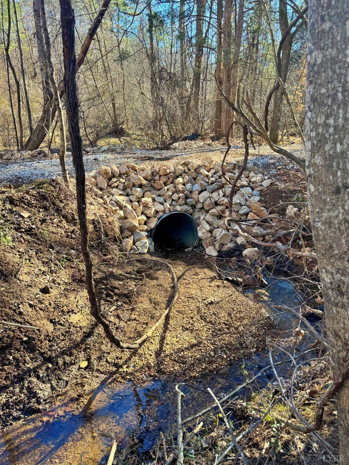 2 Watt Abbitt Road, Appomattox, Virginia image 2