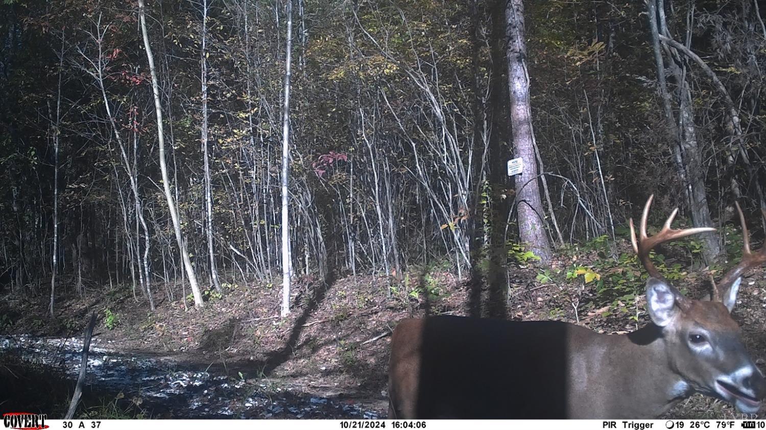 2 Watt Abbitt Road, Appomattox, Virginia image 7