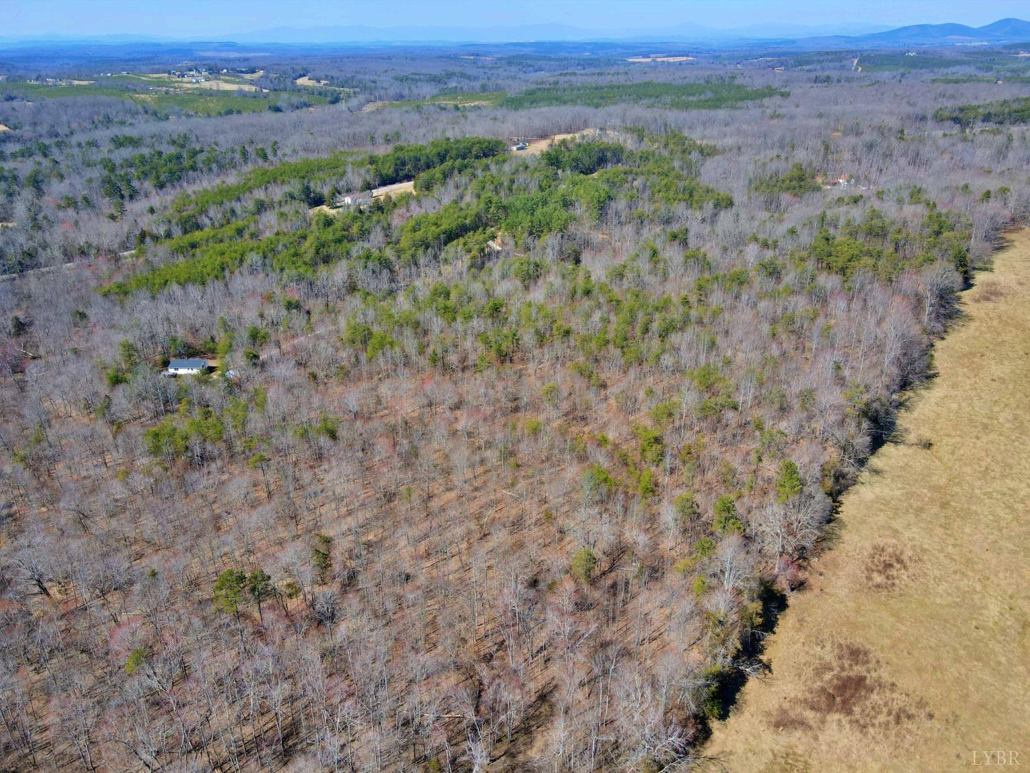 2 Watt Abbitt Road, Appomattox, Virginia image 9