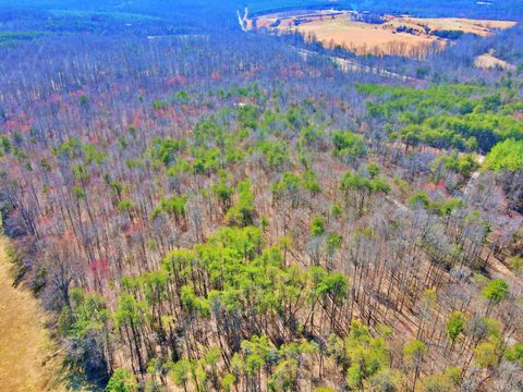 Tiny photo for 2 Watt Abbitt Road, Appomattox, VA 24522 (MLS # 358720)