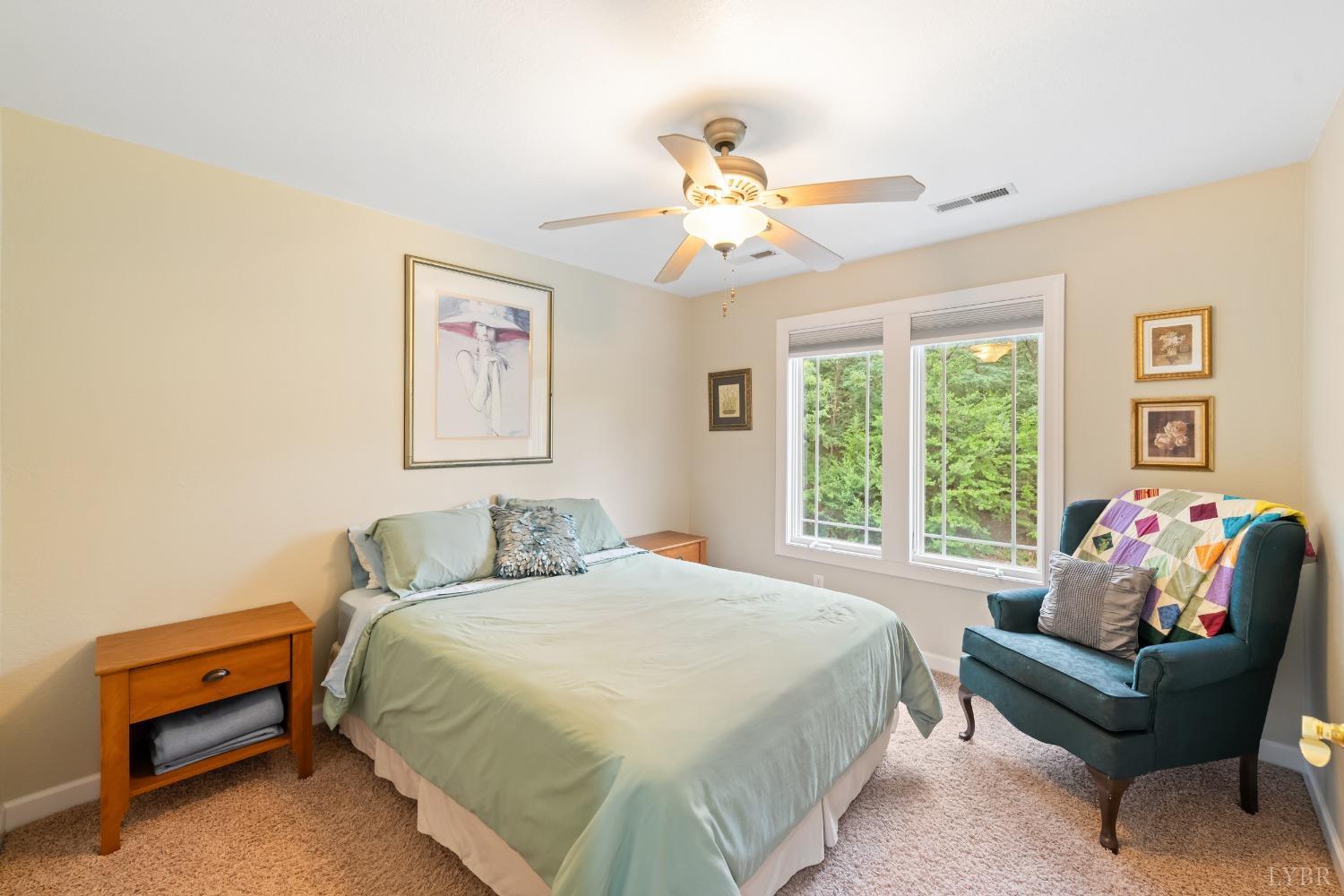 1136 Heavens View Drive, Forest, Virginia image 47