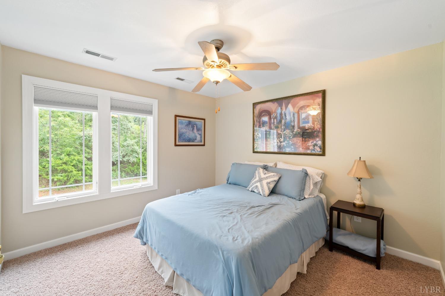 1136 Heavens View Drive, Forest, Virginia image 46