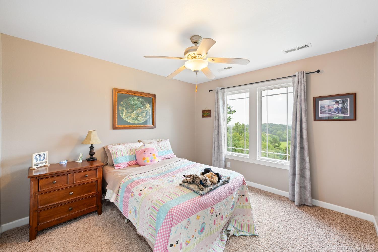 1136 Heavens View Drive, Forest, Virginia image 44